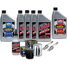 Tagliando Harley Twin Cam Custom Olio Tagliando Harley Davidson